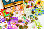 Load image into Gallery viewer, Terp Perps CannaCompass Flavor Bag Set (Ounce, QP, HP LB) - Terp Perps Cannasseur Boxes
