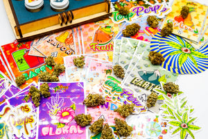 Terp Perps CannaCompass Flavor Bag Set (Ounce, QP, HP LB) - Terp Perps Cannasseur Boxes